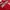 Hoosiers Indiana. Paket hoodie merk Champions photo 4