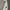 Adidas Vintage Sportswear Windbreaker Pria white photo 2