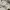 Adidas Vintage Sportswear Windbreaker Pria white photo 7