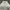 Adidas Vintage Sportswear Windbreaker Pria white photo 4