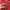 Luxury Prom dress Wanita burgundy red photo 4