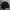 MLB Y2K Bomber jacket Pria black photo 4