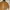 Carhartt Vintage Streetwear Hoody Pria brown photo 3