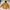 Carhartt Vintage Streetwear Hoody Pria brown photo 2