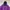 The North Face Streetwear Gorpcore Puffer Jacket Pria Purple