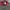 Nike Vintage Sweatshirt Pria red gray photo 5