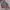 Nike Vintage Sweatshirt Pria red gray photo 3