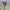 Burberry Vintage Luxury Harrington jacket Pria tan photo 3