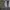 Burberry Vintage Luxury Harrington jacket Pria tan photo 4