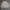 Polo Ralph Lauren Vintage Luxury Harrington jacket Pria cream photo 8