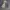 Polo Ralph Lauren Vintage Luxury Harrington jacket Pria cream photo 4