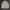 Nike Luxury Casual Harrington Jacket Pria Cream