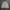 Beanpole Casual Harrington jacket Pria cream photo 2