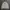 Beanpole Casual Harrington Jacket Pria Cream