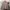 Uniqlo Casual Fur coat Wanita pink photo 5