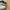 Puma Casual Sneakers Wanita white black photo 2