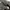 Neighborhood Grunge Parka Pria black gray photo 5