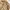EDWIN Streetwear Avant Garde Boyfriend jeans Wanita khaki photo 5