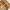 EDWIN Streetwear Avant Garde Boyfriend jeans Wanita khaki photo 6