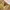 EDWIN Streetwear Avant Garde Boyfriend jeans Wanita khaki photo 7