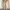 EDWIN Streetwear Avant Garde Boyfriend jeans Wanita khaki photo 3
