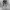Vintage Y2K Jeans Pria white black photo 1