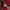 WHO.A.U Vintage Casual Bomber jacket Pria red photo 2