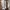 VANS Streetwear Skater Loafer Pria tan photo 7