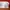VANS Streetwear Skater Loafer Pria tan photo 2