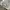 Y2K Casual Windbreaker Pria multicolor photo 7