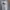 Dickies Casual Sweatshirt Pria multicolor white photo 1