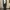ZARA Avant Garde Midi dress Wanita black photo 2