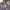 Goth Emo Short Wanita white photo 5