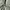 Valentino Luxury Minimalist Formal pants Pria green photo 4