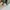 Carhartt Streetwear Y2K Hat Pria green photo 2
