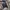 Luxury Casual Windbreaker Pria multicolor black photo 5