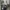 Luxury Casual Windbreaker Pria multicolor black photo 3