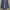 Casual Fur coat Wanita blue photo 2