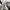 Kate Spade Luxury Minimalist Handbag Wanita multicolor white photo 3