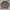 Hush Puppies Vintage Sweater Wanita gray photo 1