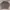 Hush Puppies Vintage Sweater Wanita Gray