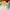 Cosplay Toy Kids multicolor photo 5