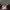 Ray Ban Luxury Futurist Glass Pria gold brown photo 5