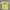 Hanes Vintage Casual T-shirt Pria yellow photo 1
