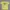 Hanes Vintage Casual T-shirt Pria Yellow