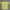 Hanes Vintage Casual T-shirt Pria yellow photo 4