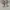 Louis Vuitton Casual Sneakers Wanita white cream photo 3