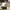 Vintage Streetwear Hat Pria White Black