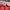 Vintage Streetwear Hat Pria white red photo 4