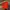 Vintage Streetwear Hat Pria orange photo 3